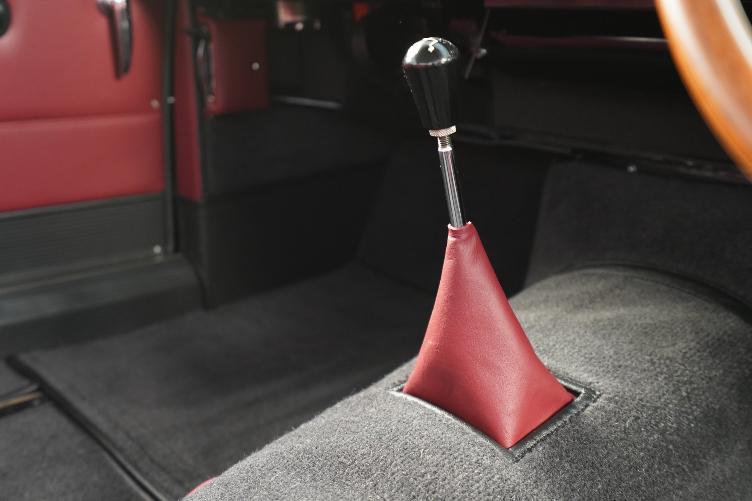 close up carpet gator